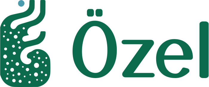 Özel logo tasarımı