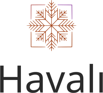 Havalı logo tasarımı