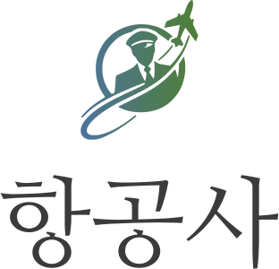 항공사 로고 디자인