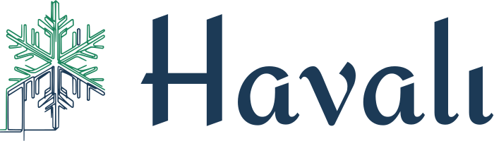 Havalı logo tasarımı
