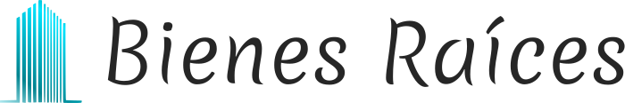Bienes Raíces logo design