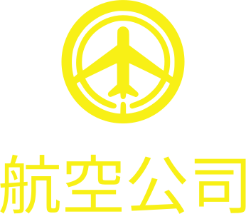 航空公司 logo design