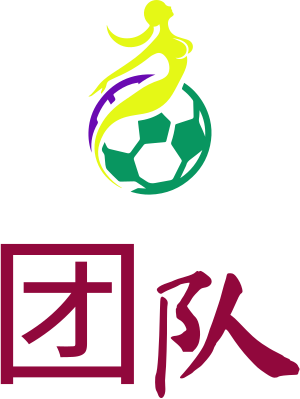 团队 logo design